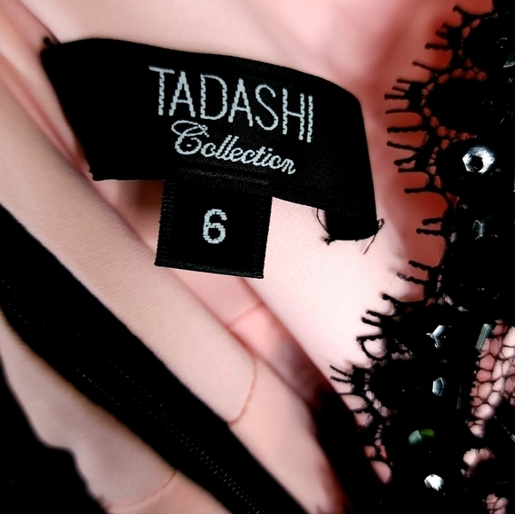 Tadashi black lace over pink silk v neck A line high waist dress size 6 - Picture 5 of 6